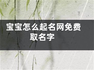  宝宝怎么起名网免费取名字 