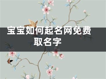  宝宝如何起名网免费取名字 