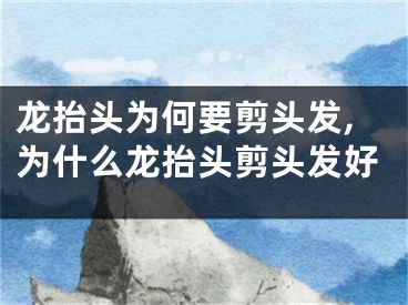 龙抬头为何要剪头发,为什么龙抬头剪头发好