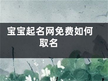  宝宝起名网免费如何取名 