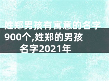 姓郑男孩有寓意的名字900个,姓郑的男孩名字2021年