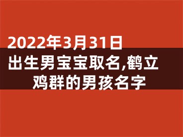 2022年3月31日出生男宝宝取名,鹤立鸡群的男孩名字