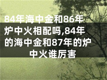 84年海中金和86年炉中火相配吗,84年的海中金和87年的炉中火谁厉害