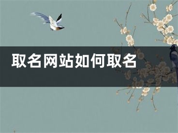  取名网站如何取名 