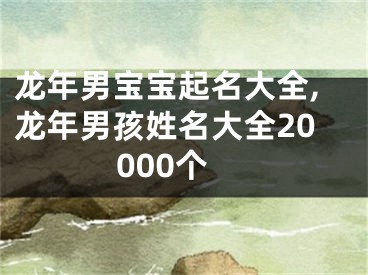 龙年男宝宝起名大全,龙年男孩姓名大全20000个