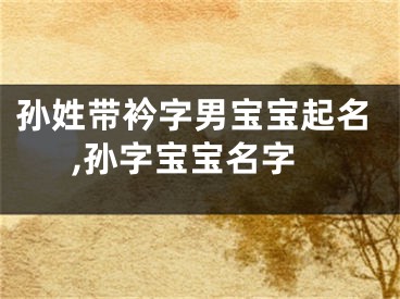 孙姓带衿字男宝宝起名,孙字宝宝名字