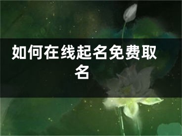  如何在线起名免费取名 