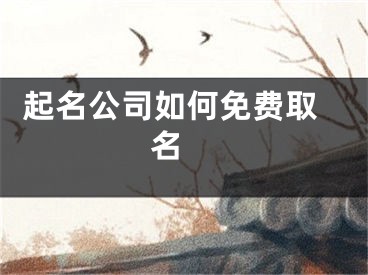  起名公司如何免费取名 