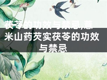 茯苓的功效与禁忌,薏米山药芡实茯苓的功效与禁忌