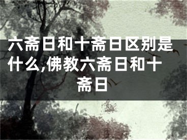 六斋日和十斋日区别是什么,佛教六斋日和十斋日