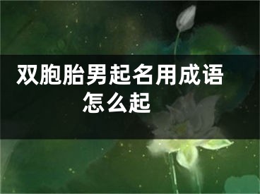  双胞胎男起名用成语怎么起 