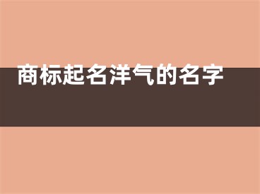  商标起名洋气的名字 