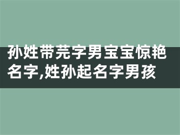 孙姓带芫字男宝宝惊艳名字,姓孙起名字男孩