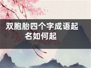  双胞胎四个字成语起名如何起 