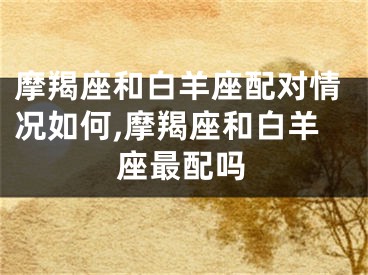 摩羯座和白羊座配对情况如何,摩羯座和白羊座最配吗