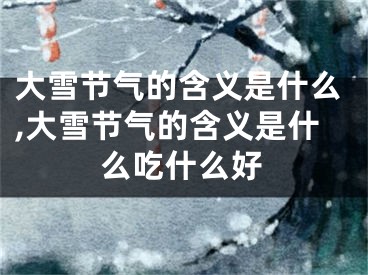 大雪节气的含义是什么,大雪节气的含义是什么吃什么好