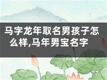 马字龙年取名男孩子怎么样,马年男宝名字