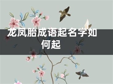  龙凤胎成语起名字如何起 