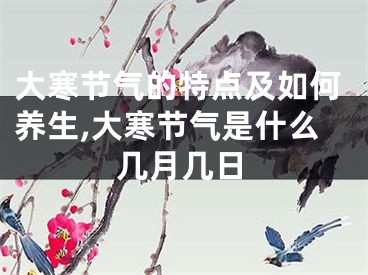 大寒节气的特点及如何养生,大寒节气是什么几月几日