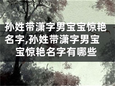 孙姓带潇字男宝宝惊艳名字,孙姓带潇字男宝宝惊艳名字有哪些