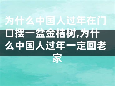 为什么中国人过年在门口摆一盆金桔树,为什么中国人过年一定回老家