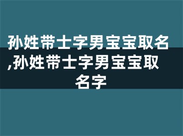 孙姓带士字男宝宝取名,孙姓带士字男宝宝取名字