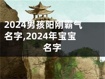 2024男孩阳刚霸气名字,2024年宝宝名字