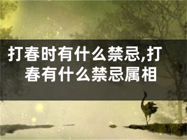 打春时有什么禁忌,打春有什么禁忌属相