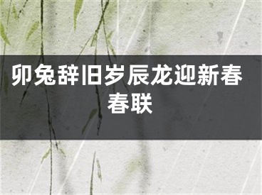 卯兔辞旧岁辰龙迎新春春联