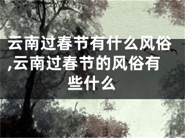 云南过春节有什么风俗,云南过春节的风俗有些什么