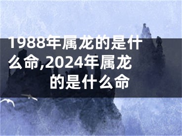 1988年属龙的是什么命,2024年属龙的是什么命