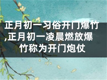 正月初一习俗开门爆竹,正月初一凌晨燃放爆竹称为开门炮仗