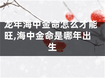 龙年海中金命怎么才能旺,海中金命是哪年出生