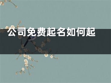  公司免费起名如何起 