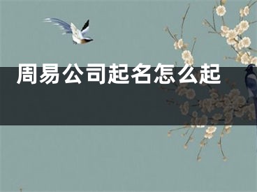  周易公司起名怎么起 