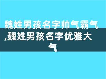 魏姓男孩名字帅气霸气,魏姓男孩名字优雅大气