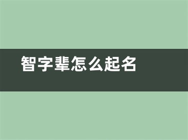  智字辈怎么起名 