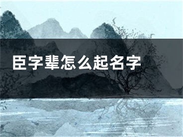  臣字辈怎么起名字 