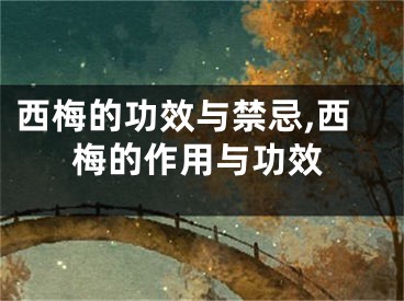 西梅的功效与禁忌,西梅的作用与功效