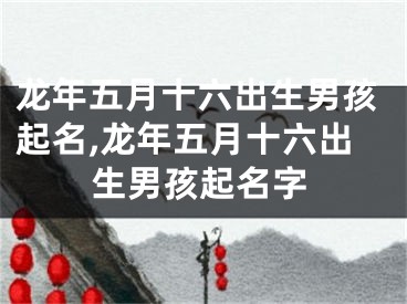 龙年五月十六出生男孩起名,龙年五月十六出生男孩起名字