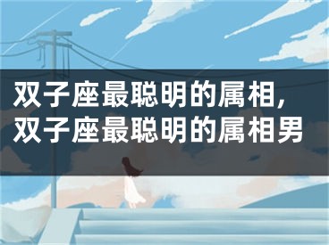 双子座最聪明的属相,双子座最聪明的属相男