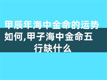 甲辰年海中金命的运势如何,甲子海中金命五行缺什么