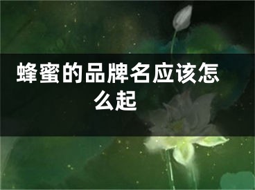  蜂蜜的品牌名应该怎么起 