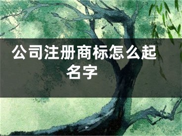  公司注册商标怎么起名字 