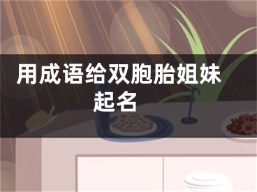  用成语给双胞胎姐妹起名 