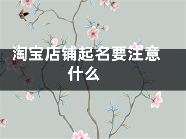  淘宝店铺起名要注意什么 