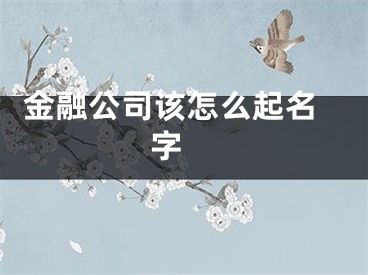  金融公司该怎么起名字 