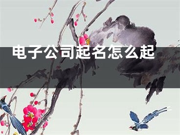  电子公司起名怎么起 