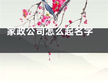  家政公司怎么起名字 