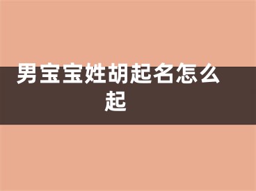  男宝宝姓胡起名怎么起 